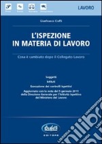 L'ispezione in materia di lavoro libro