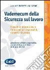 Vademecum della sicurezza sul lavoro libro