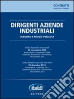 Dirigenti aziende industriali. Industria e piccola industria libro