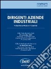 Dirigenti aziende industriali. Industria e piccola industria libro