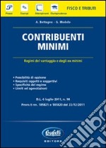 Regime dei contribuenti minimi libro