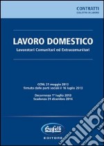 Lavoro domestico. Lavoratori comunitari ed extracomunitari libro