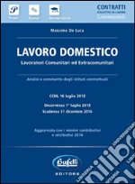 Lavoro domestico libro