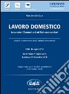 Lavoro domestico libro