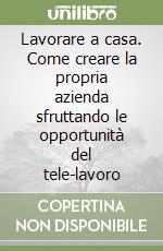 Lavorare a casa. Come creare la propria azienda sfruttando le opportunità del tele-lavoro libro