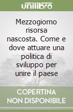 Mezzogiorno risorsa nascosta. Come e dove attuare una politica di sviluppo per unire il paese libro