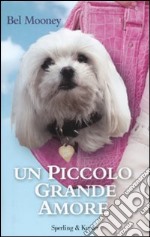 Un Piccolo grande amore libro