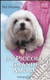 Un Piccolo grande amore libro