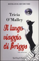 Il lungo viaggio di Briggs libro