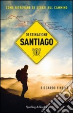 Destinazione Santiago. Come ritrovare se stessi sul Cammino libro