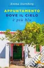 Appuntamento dove il cielo è più blu libro