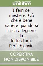 I ferri del mestiere. Ciò che è bene sapere quando si inizia a leggere la letteratura. Per il biennio libro