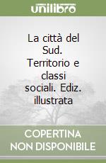 La città del Sud. Territorio e classi sociali. Ediz. illustrata libro