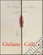 Giuliano Collina. Animi domus. Ediz. italiana e inglese libro