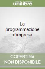 La programmazione d'impresa