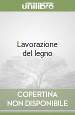 Lavorazione del legno libro