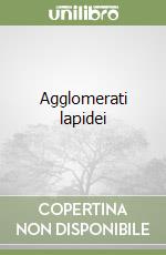 Agglomerati lapidei libro