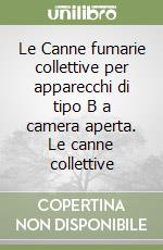 Le Canne fumarie collettive per apparecchi di tipo B a camera aperta. Le canne collettive