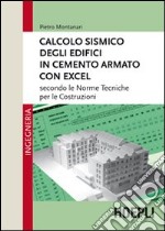 Calcolo sismico degli edifici in cemento armato con excel. Secondo le norme tecniche per le costruzioni libro