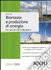 Biomasse e produzione di energia. Dalla gassificazione alla pirolisi libro
