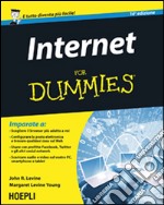 Internet for Dummies libro