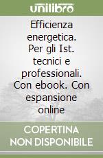 Efficienza energetica. Per gli Ist. tecnici e professionali. Con ebook. Con espansione online libro