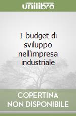 I budget di sviluppo nell'impresa industriale libro