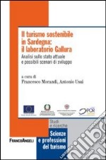 Il turismo sostenibile in Sardegna: il laboratorio Gallura. Analisi sullo stato attuale e possibili scenari di sviluppo libro