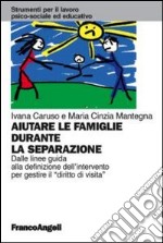 Aiutare le famiglie durante la separazione. Dalle linee guida alla definizione dell'intervento per gestire il 'diritto di visita' libro