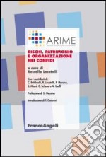 Rischi, patrimonio e organizzazione nei confidi libro