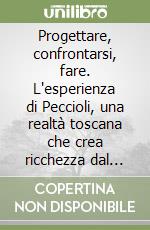 Progettare, confrontarsi, fare. L'esperienza di Peccioli, una realtà toscana che crea ricchezza dal basso libro