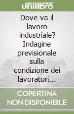 Dove va il lavoro industriale? Indagine previsionale sulla condizione dei lavoratori negli anni Novanta