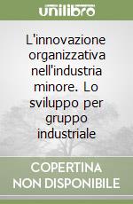 L'innovazione organizzativa nell'industria minore. Lo sviluppo per gruppo industriale libro