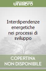 Interdipendenze energetiche nei processi di sviluppo libro