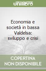 Economia e società in bassa Valdelsa: sviluppo e crisi libro