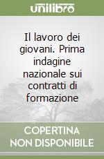 Il lavoro dei giovani. Prima indagine nazionale sui contratti di formazione libro