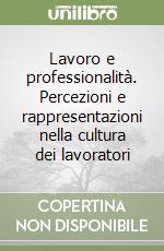 Lavoro e professionalità. Percezioni e rappresentazioni nella cultura dei lavoratori libro