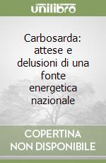 Carbosarda: attese e delusioni di una fonte energetica nazionale libro