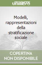 Modelli, rappresentazioni della stratificazione sociale libro