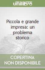 Piccola e grande impresa: un problema storico