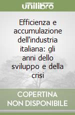 Efficienza e accumulazione dell'industria italiana: gli anni dello sviluppo e della crisi libro