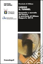 Lungo il tunnel. Economia e mercato del lavoro in provincia di Milano. Rapporto 2012 libro