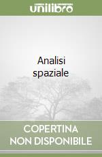 Analisi spaziale