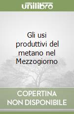 Gli usi produttivi del metano nel Mezzogiorno