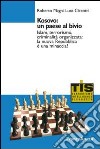 Kosovo: un paese al bivio. Islam, terrorismo, criminalità organizzata: la nuova Repubblica è una minaccia? libro