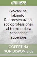 Giovani nel labirinto. Rappresentazioni socioprofessionali al termine della secondaria superiore