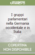 I gruppi parlamentari nella Germania occidentale e in Italia libro