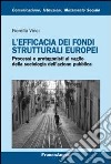 L'efficacia dei fondi strutturali europei. Processi e protagonisti al vaglio della sociologia dell'azione pubblica libro