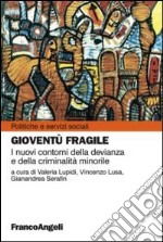 Gioventù fragile. I nuovi contorni della devianza e della criminalità minorile libro