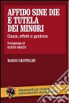 Affido sine die e tutela dei minori. Cause, effetti e gestione libro